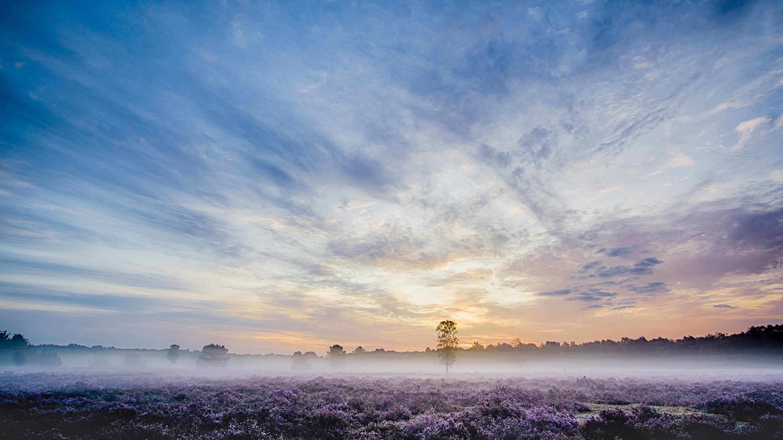 加拿大 日出壁纸(风景静态壁纸) - 静态壁纸下载 - 元气壁纸