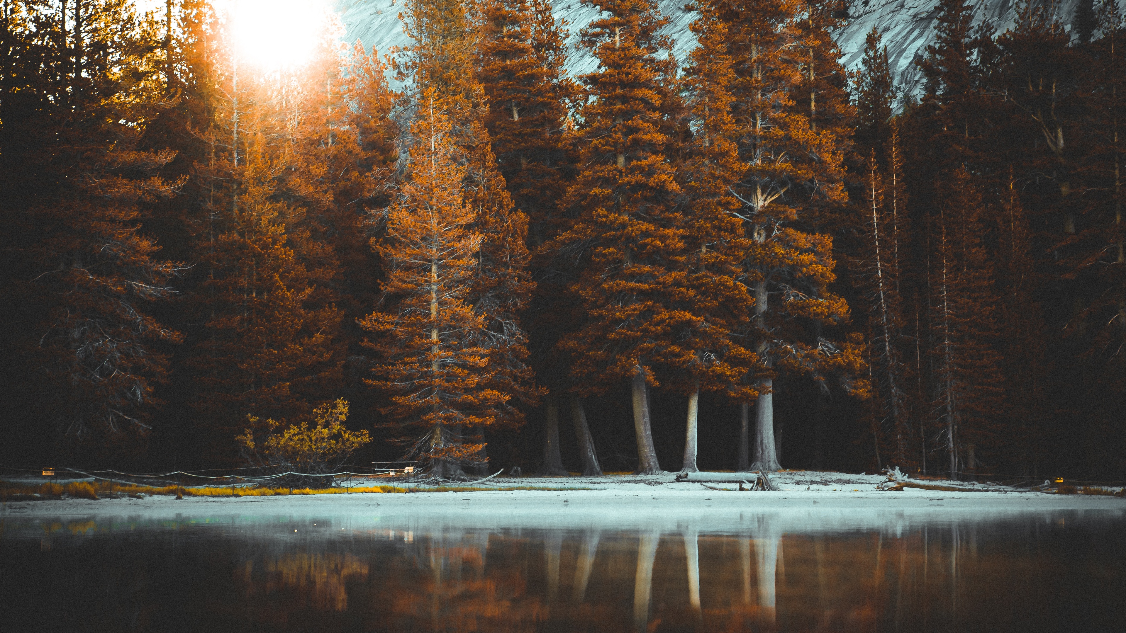 安装元气桌面,海量壁纸一键设置尺寸:3840x2160体积:3.