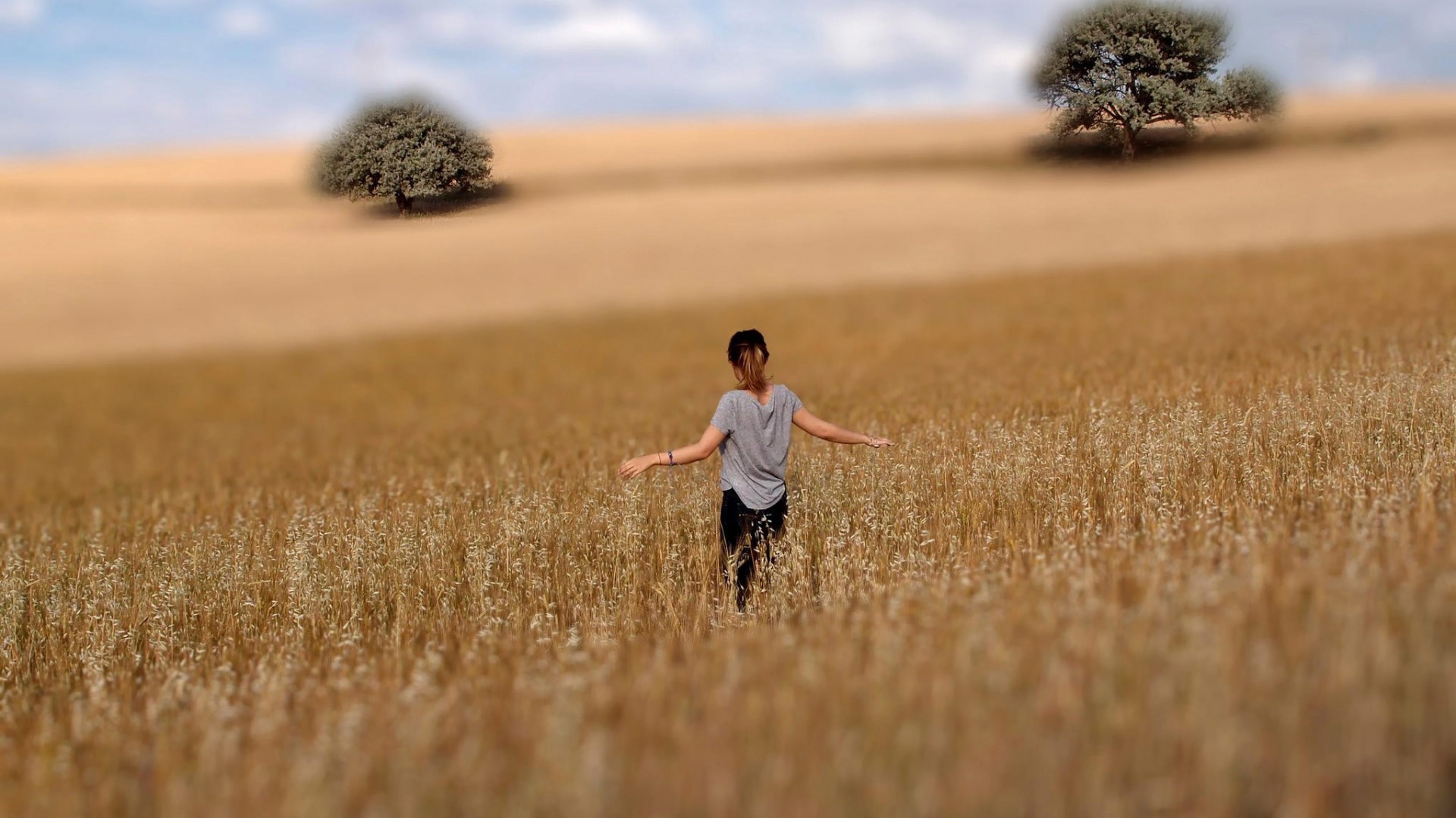 女孩背影树木田园麦场自然意境桌面壁纸壁纸