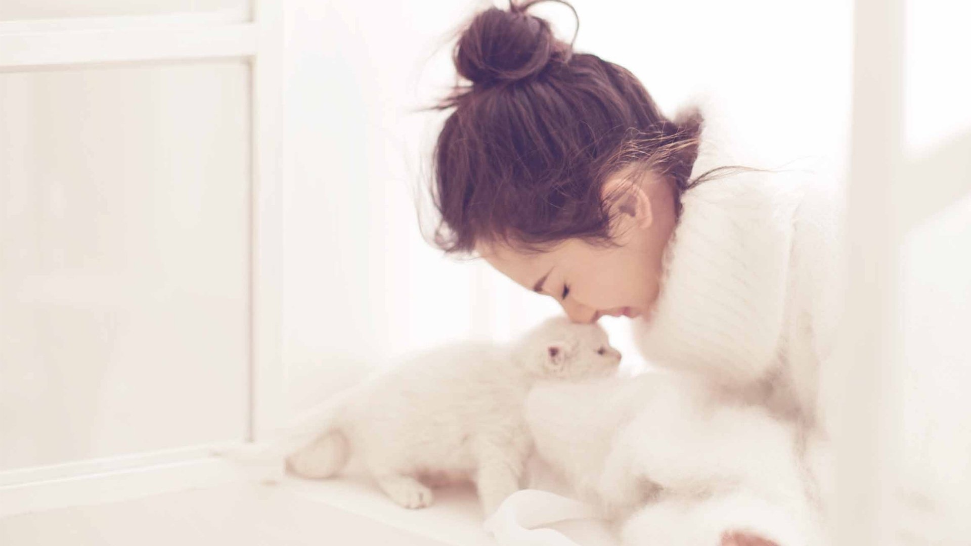 杨幂写真冬日猫咪明星风尚壁纸4