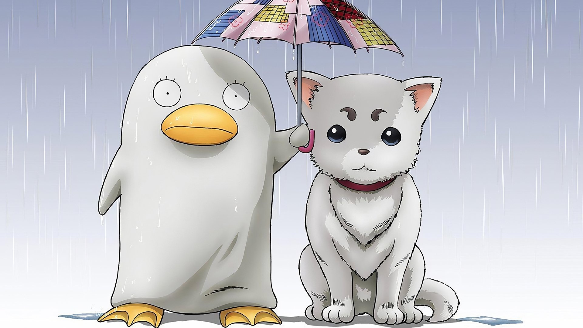 二次元 企鹅 猫咪 雨伞 动漫卡通壁纸