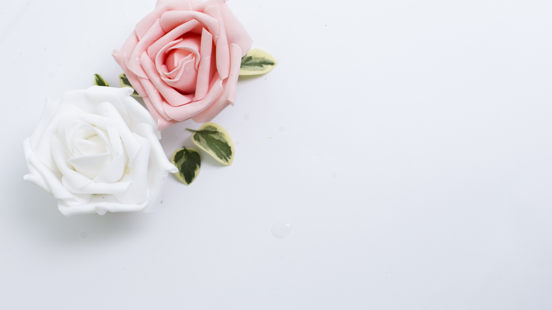 简约淡雅白色背景下的花简单背景5k图片壁纸简约淡雅壁纸图片 桌面壁纸图片 壁纸下载 元气壁纸 简约淡雅白色背景下的花简单背景5k图片壁纸简约淡雅壁纸图片 桌面壁纸图片 壁纸下载 元气壁纸