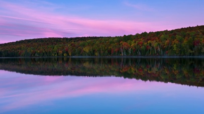 水边的彩色树林