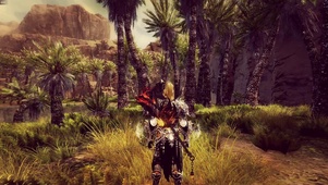 GW2 Oasis