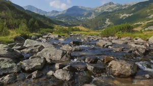 高山流水