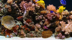 水族馆