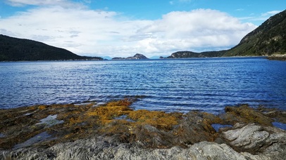 湖泊景色
