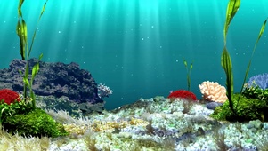 海底世界