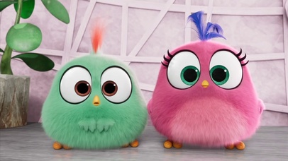 愤怒的小鸟生日