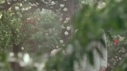 白马拢龙