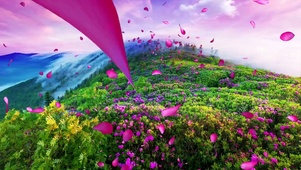 春暖花开