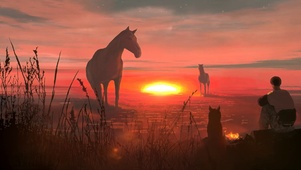 夕阳下的马匹