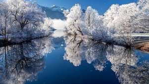 雪景