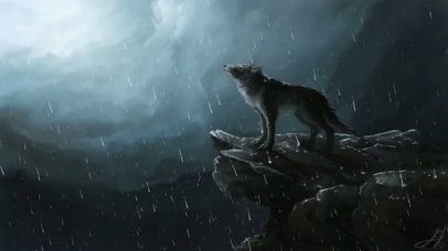 雨中孤狼