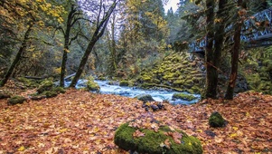 山间小溪