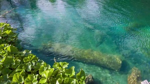 流水声