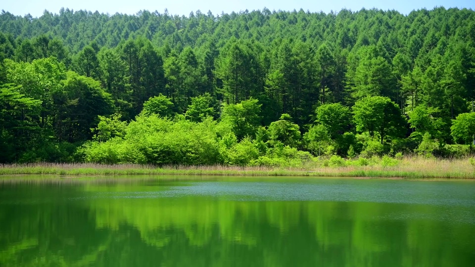 晴朗白昼的自然湖畔山林，碧绿色平静湖面倒映着沿岸林木，远处是覆满青翠林木的连绵山，上方是清亮浅蓝天空。