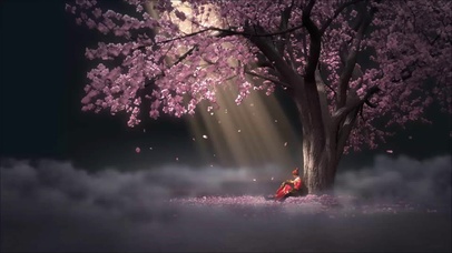 少年锦衣卫樱花