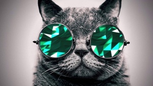 戴墨镜的酷猫