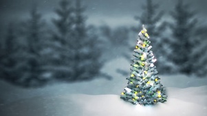 雪日圣诞树