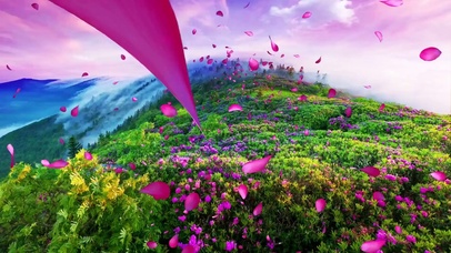 春暖花开