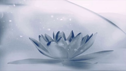 陈情令