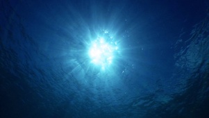 水面下的阳光