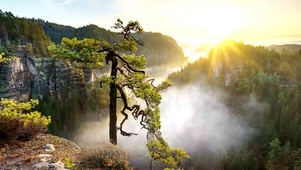 唯美风景