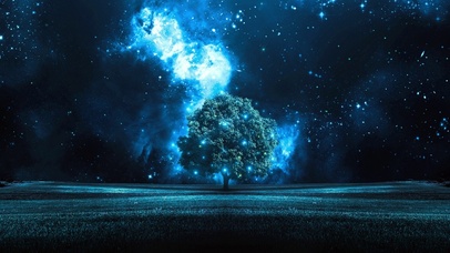 夜晚的一棵树