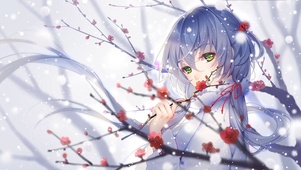 落梅少女