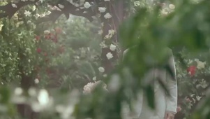 白马拢龙