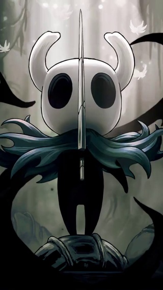 空洞骑士