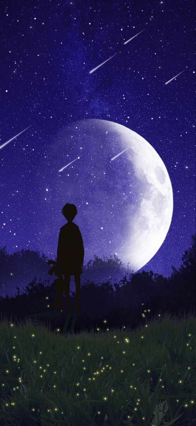 唯美星空下的男孩