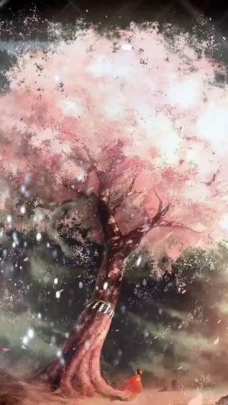 樱花树下的约定
