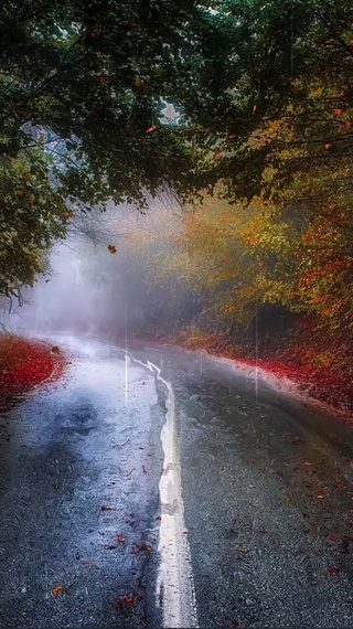 雨天秋意小路