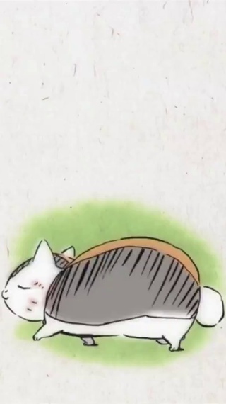 猫咪老师