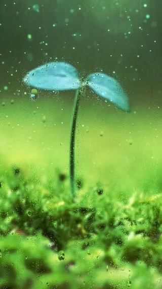 2k护眼雨滴