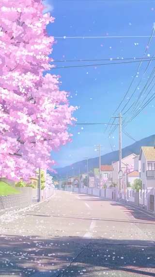 最美樱花公路 