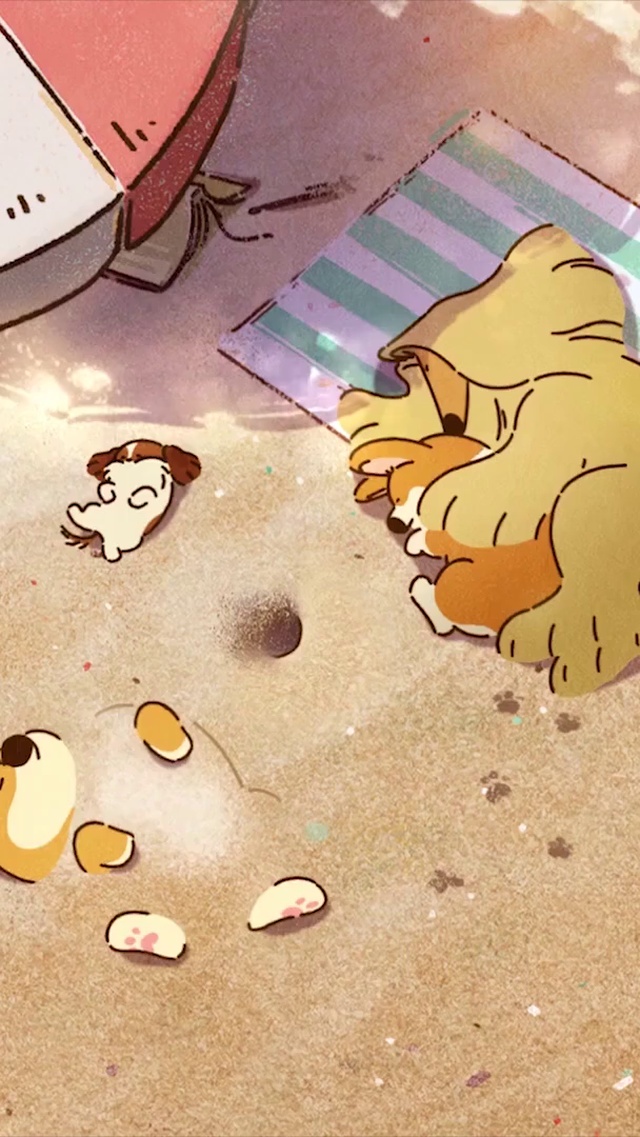 沙滩上的小柯基