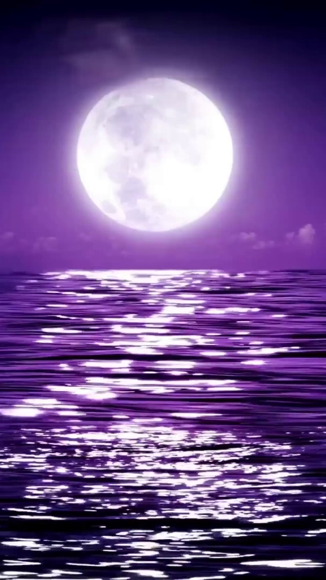 浪漫夜晚海洋