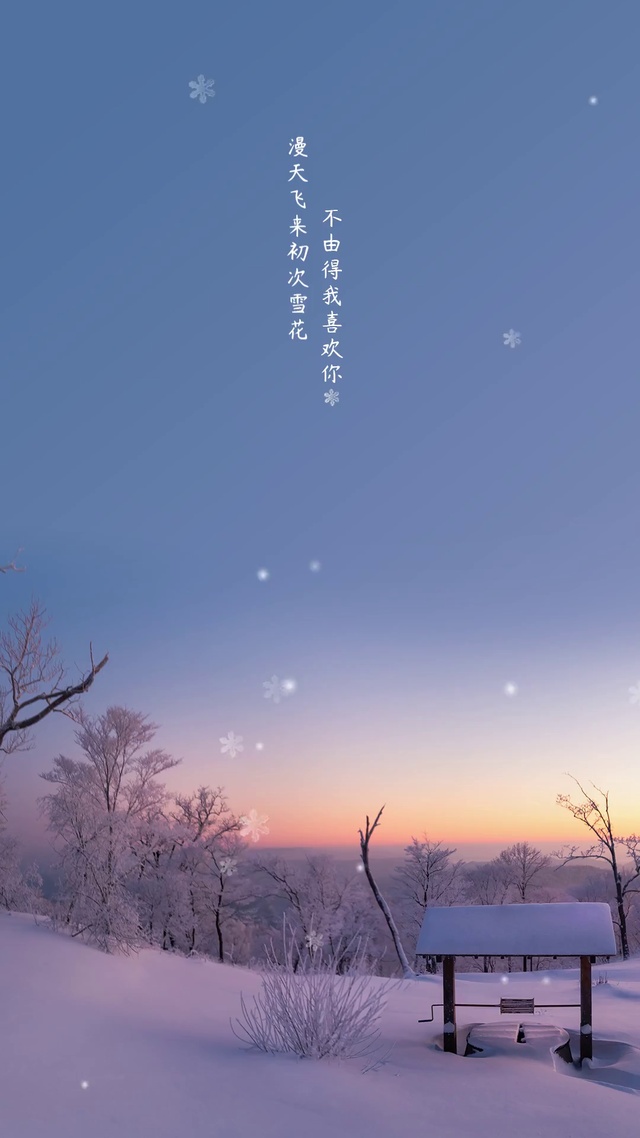 漫天飞来 初次雪花