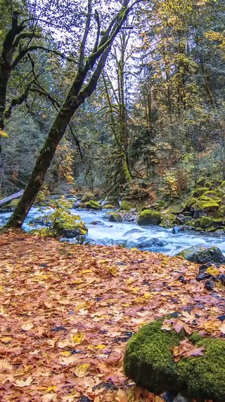 山间小溪