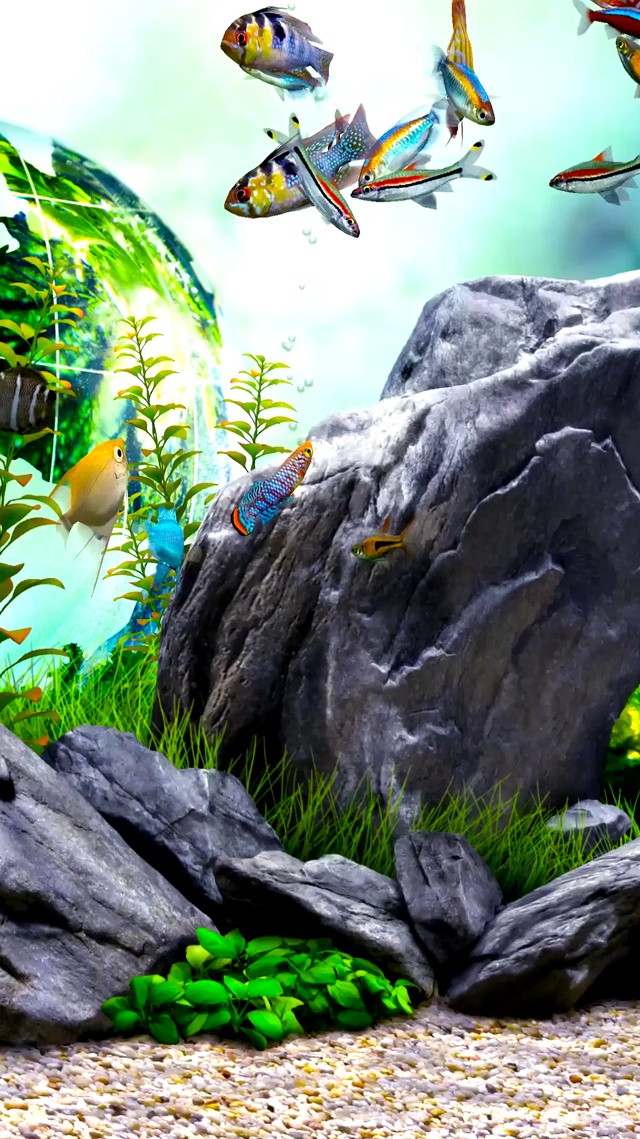 4k假山绿色护眼水族箱