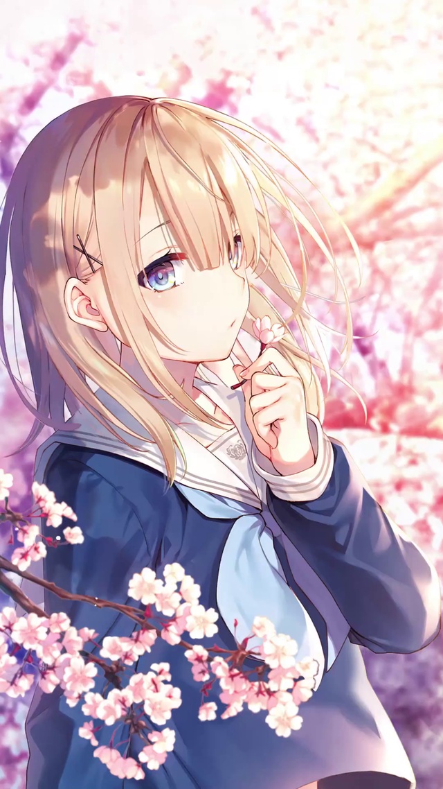 等你樱花落花之季