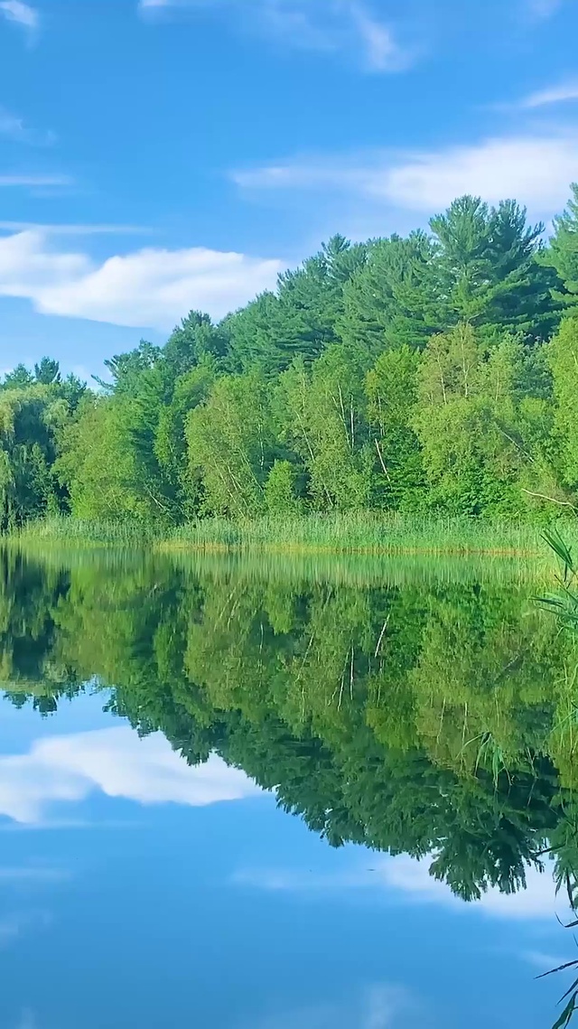 倒影湖水(风景手机动态壁纸) - 风景手机壁纸下载 - 元气壁纸