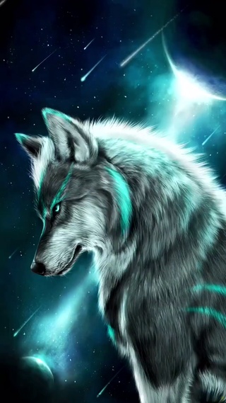 狼 风景手机动态壁纸 风景手机壁纸下载 元气壁纸