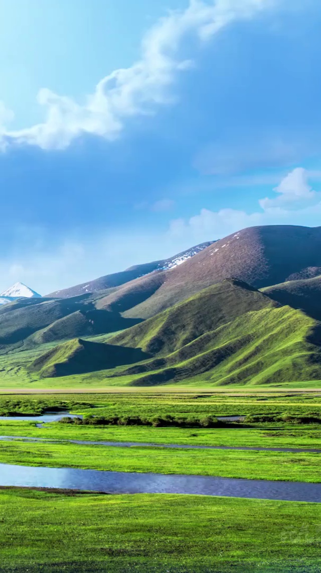 美丽草原的夏季云朵 