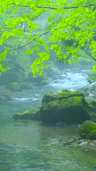 迷雾森林流水