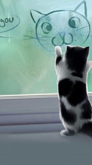 Miss-You-Cat