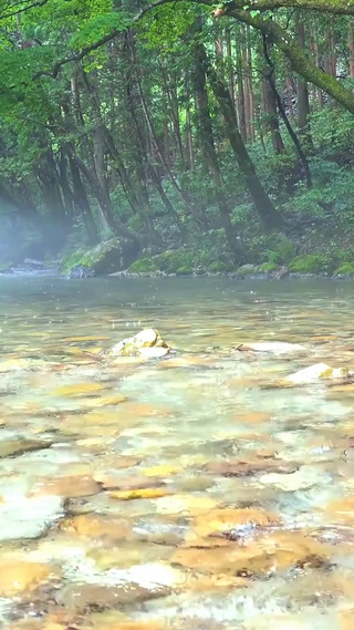 4k雨中溪流